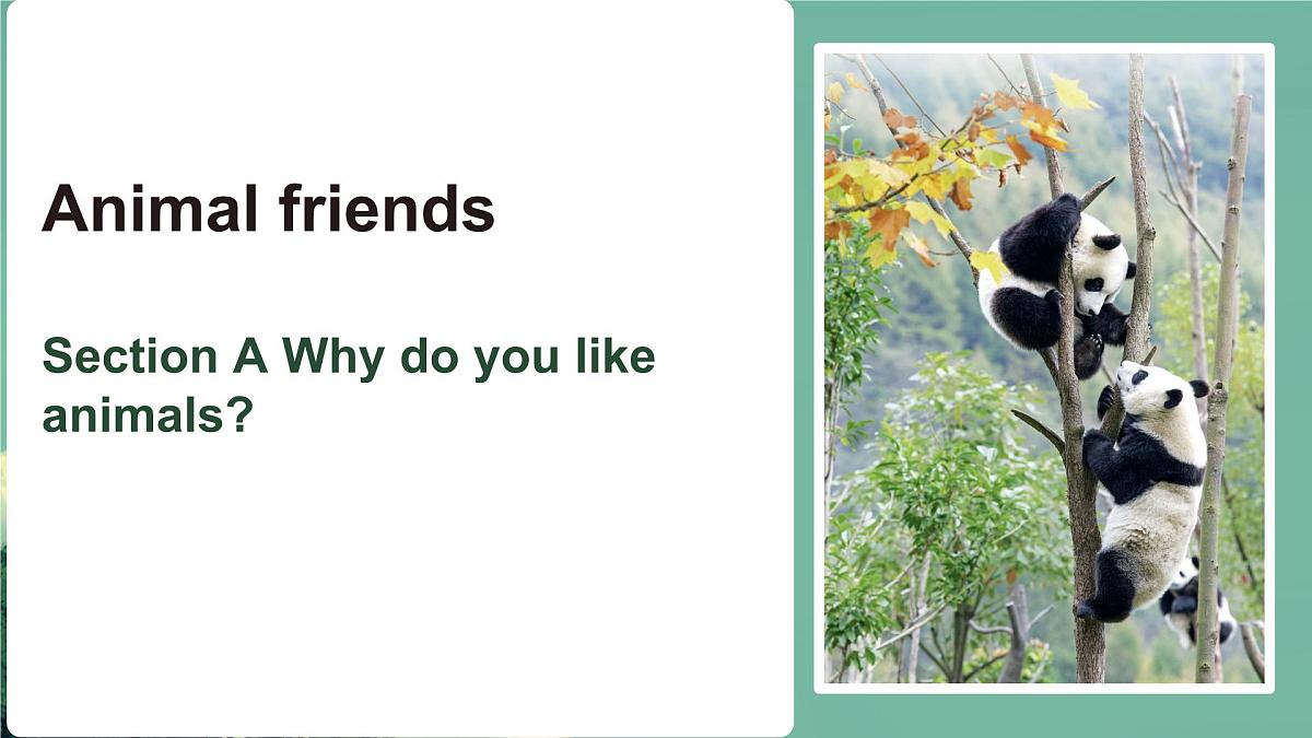 初中  英语  人教版（2024） 七年级下册Unit 1   Animal Friends Section A 课件第1页