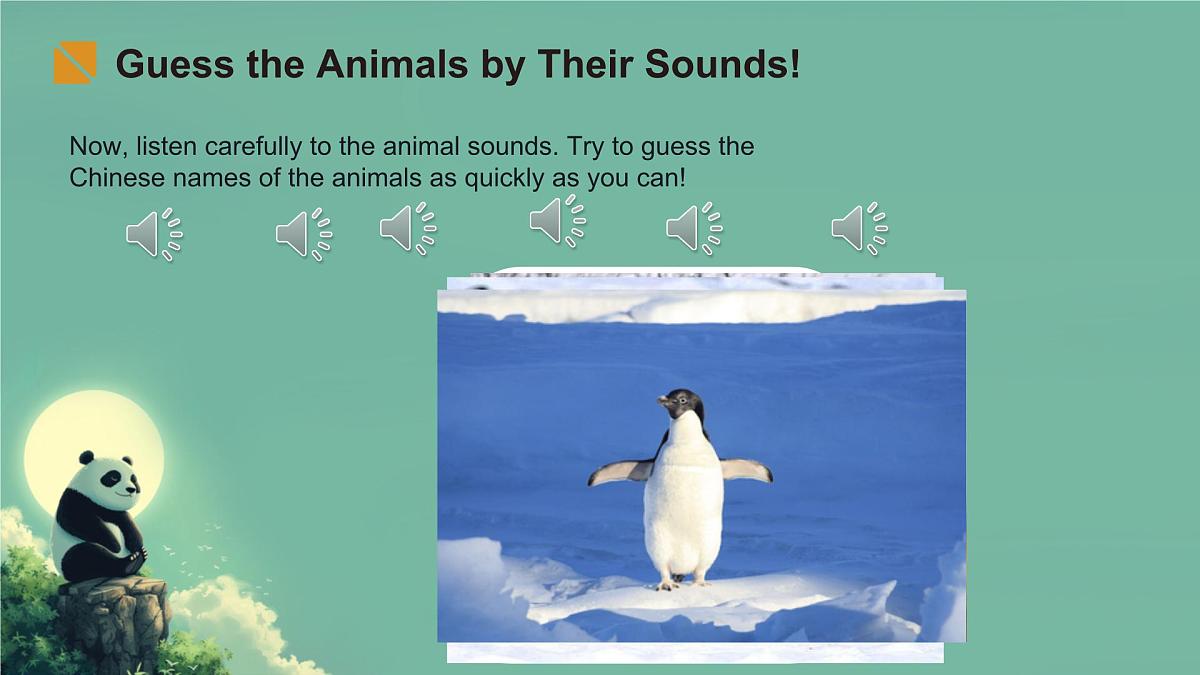 初中  英语  人教版（2024） 七年级下册Unit 1   Animal Friends Section A 课件第3页