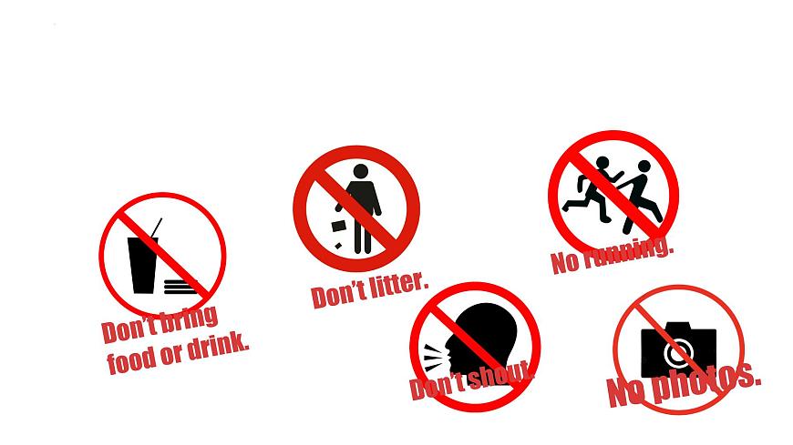 Unit 2 Reading Plus课件-2024-2025学年人教版（2024）英语七年级下册第3页