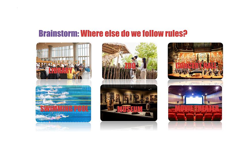 Unit 2 Reading Plus课件-2024-2025学年人教版（2024）英语七年级下册第5页