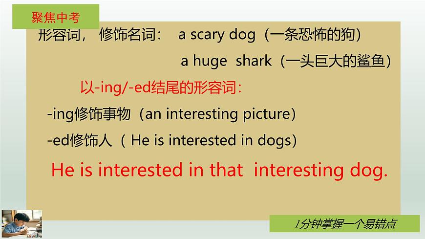 人教版英语七年级下册Unit1 Animal Friends知识点重难点课件PPT学案第8页