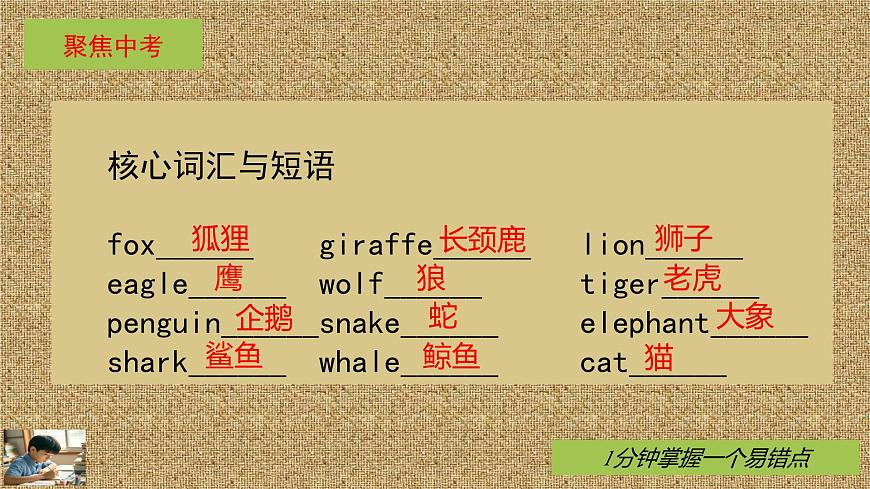 人教版英语七年级下册Unit1 Animal Friends知识点重难点课件PPT学案第2页