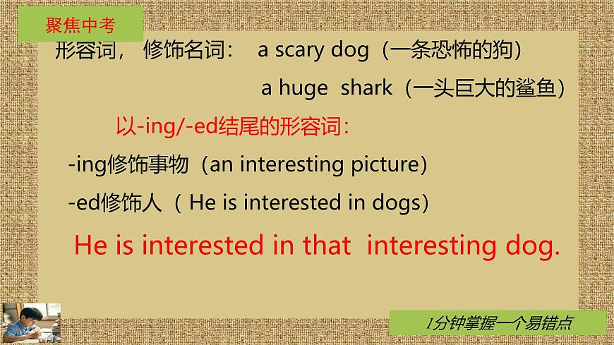 人教版英语七年级下册Unit1 Animal Friends知识点重难点课件PPT学案第8页