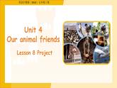 Unit 4 Our animal friends Lesson 8 Project 課件 英語(yǔ)滬教版（2024）七年級(jí)下冊(cè) 教案