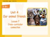 Unit 4 Our animal friends 第7課時(shí) 課件 英語(yǔ)滬教版（2024）七年級(jí)下冊(cè)