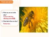 Unit 4 Our animal friends 第7課時(shí) 課件 英語(yǔ)滬教版（2024）七年級(jí)下冊(cè)
