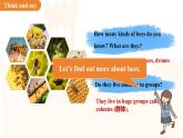 Unit 4 Our animal friends 第7課時(shí) 課件 英語(yǔ)滬教版（2024）七年級(jí)下冊(cè)