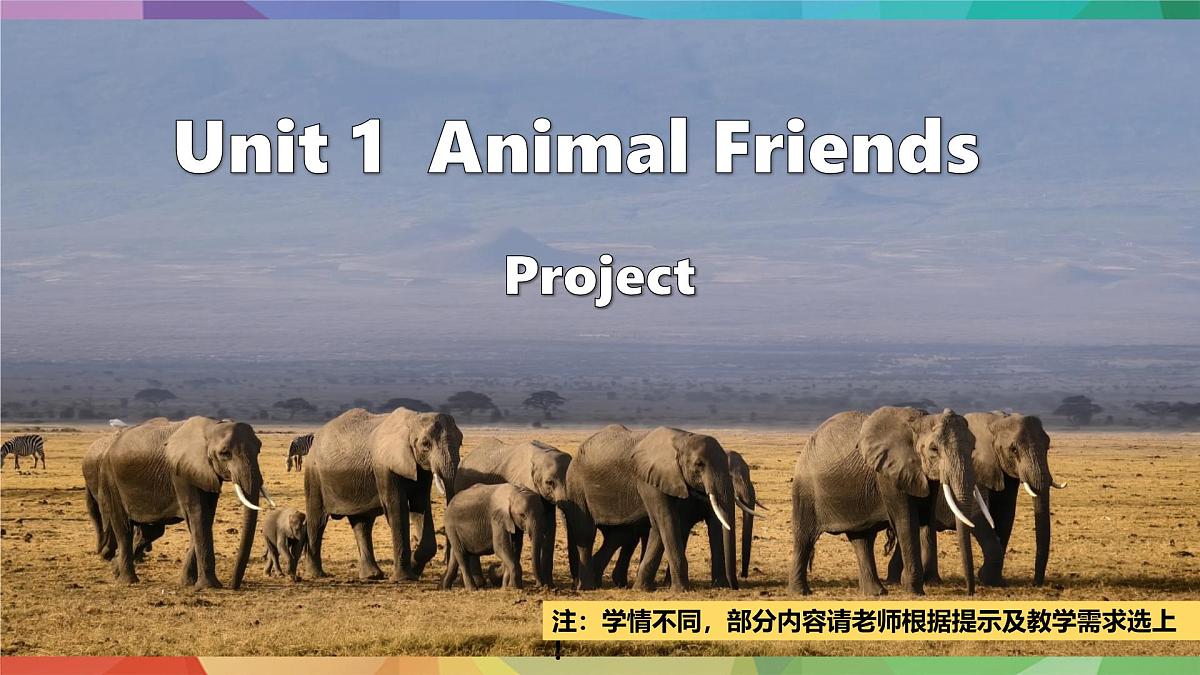 人教版2024七年级下册英语U1 课时5 Project 课件第1页