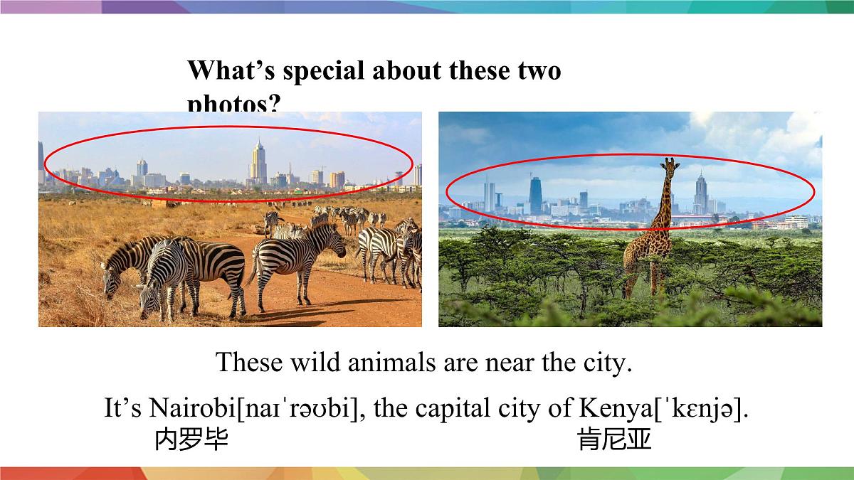 人教版2024七年级下册英语U5课时4 Section B （1a-2b) 课件第6页