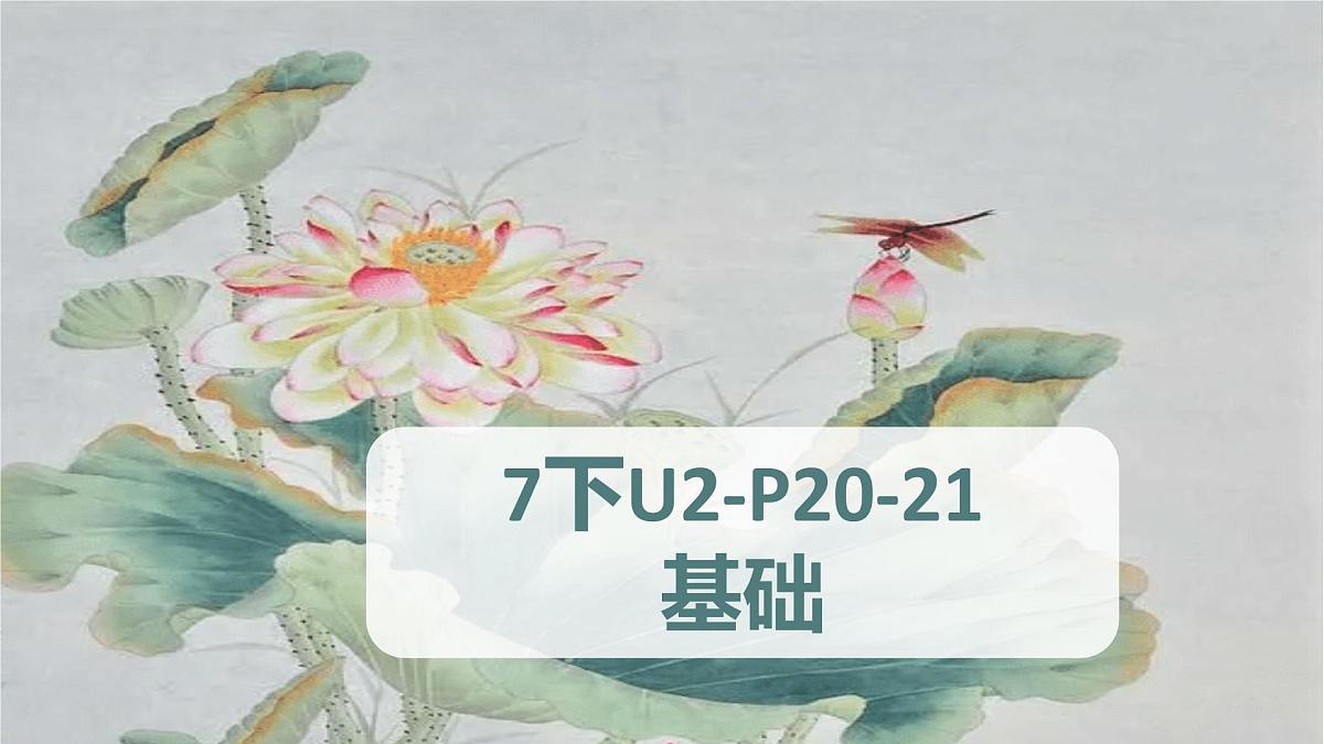 Unit 2 p20-29 词汇句型 课件 外研版（2024）七年级英语下册第1页
