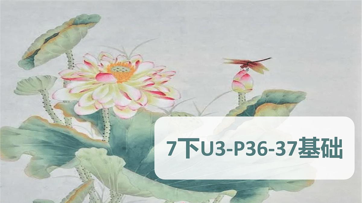Unit 3 短语课件 外研版（2024）七年级英语下册第1页