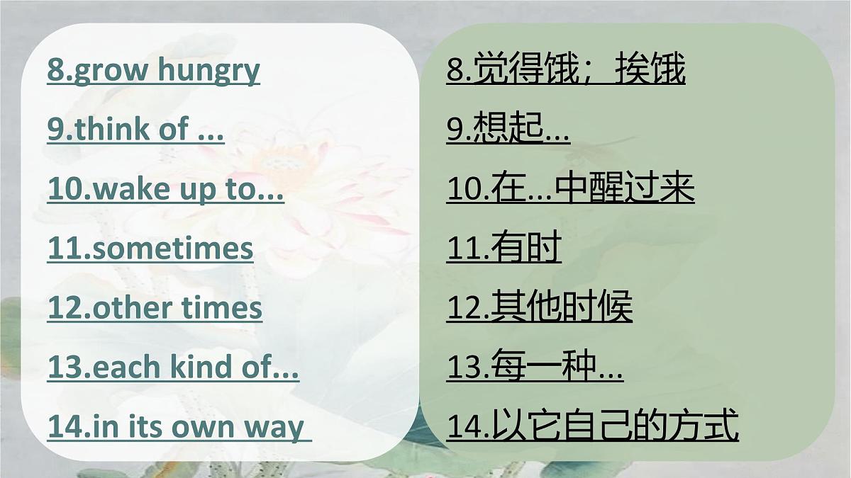 Unit 3 短语课件 外研版（2024）七年级英语下册第3页