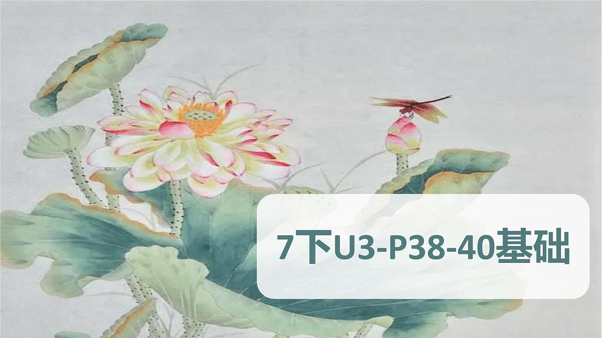 Unit 3 短语课件 外研版（2024）七年级英语下册第8页
