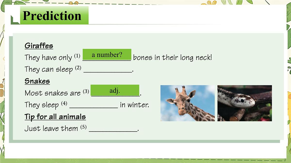 Unit 5 课时6 Integration 1（同步课件）-2024-2025学年七年级英语下册同步（译林版2024）第4页