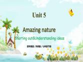 Unit5 第1課時 Starting out & Understanding ideas 課件 2025學年七年級英語下冊（外研版）