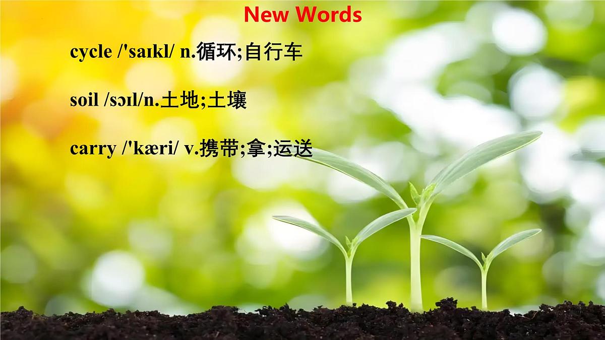 Unit 8 Lesson1 Why are plants important 课件 2025学年七年级英语下册（冀教版2024）第6页