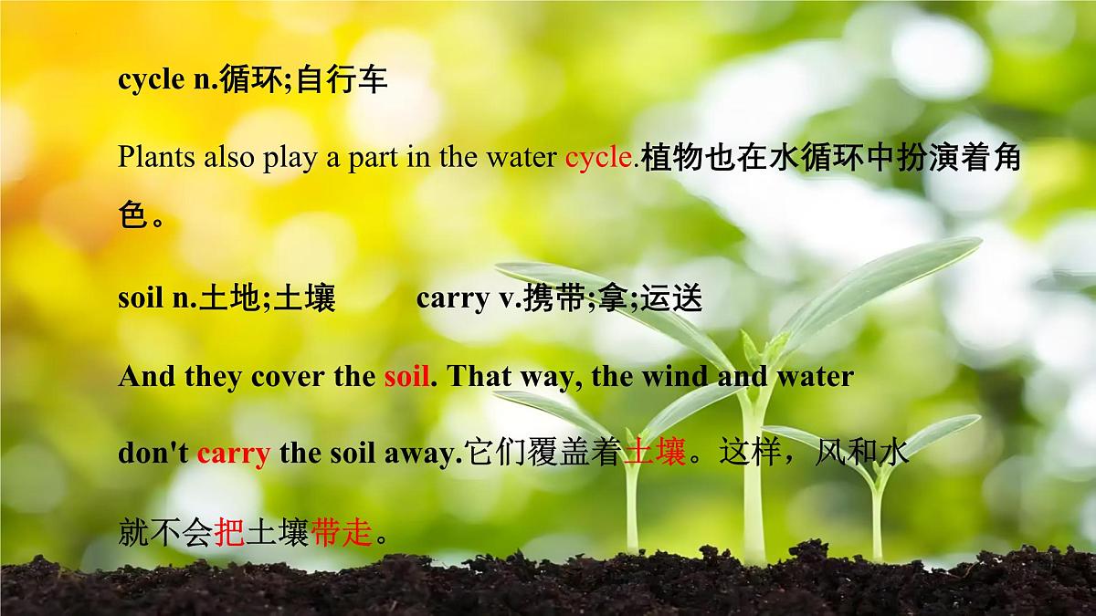 Unit 8 Lesson1 Why are plants important 课件 2025学年七年级英语下册（冀教版2024）第7页