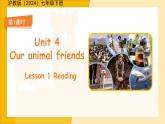 Unit 4 Our animal friends Lesson 1 Reading 課件 英語(yǔ)滬教版（2024）七年級(jí)下冊(cè)