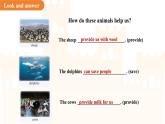Unit 4 Our animal friends Lesson 1 Reading 課件 英語(yǔ)滬教版（2024）七年級(jí)下冊(cè)