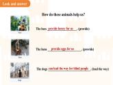 Unit 4 Our animal friends Lesson 1 Reading 課件 英語(yǔ)滬教版（2024）七年級(jí)下冊(cè)
