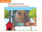Unit 4  Our animal friends Lesson 2 Listening課件  英語(yǔ)滬教版（2024）七年級(jí)下冊(cè)