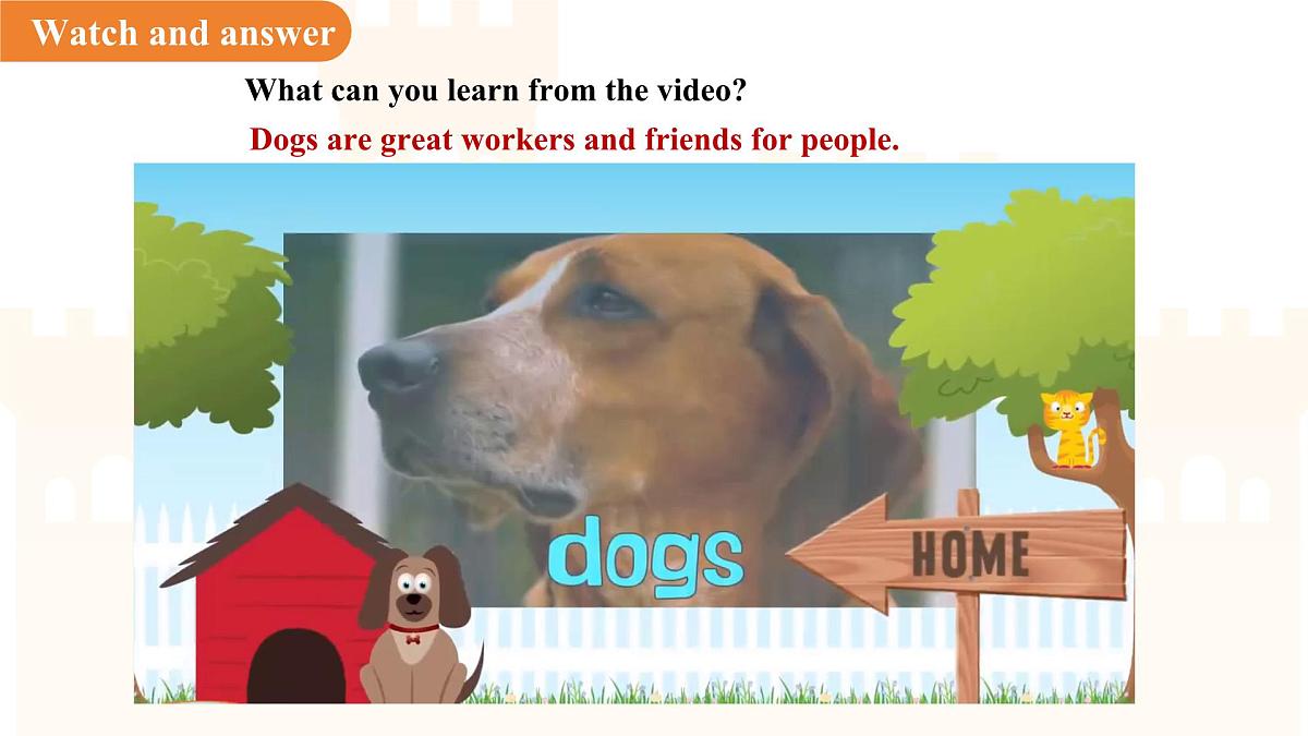 Unit 4  Our animal friends Lesson 2 Listening课件  英语沪教版（2024）七年级下册第3页