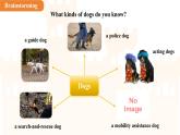 Unit 4  Our animal friends Lesson 2 Listening課件  英語(yǔ)滬教版（2024）七年級(jí)下冊(cè)
