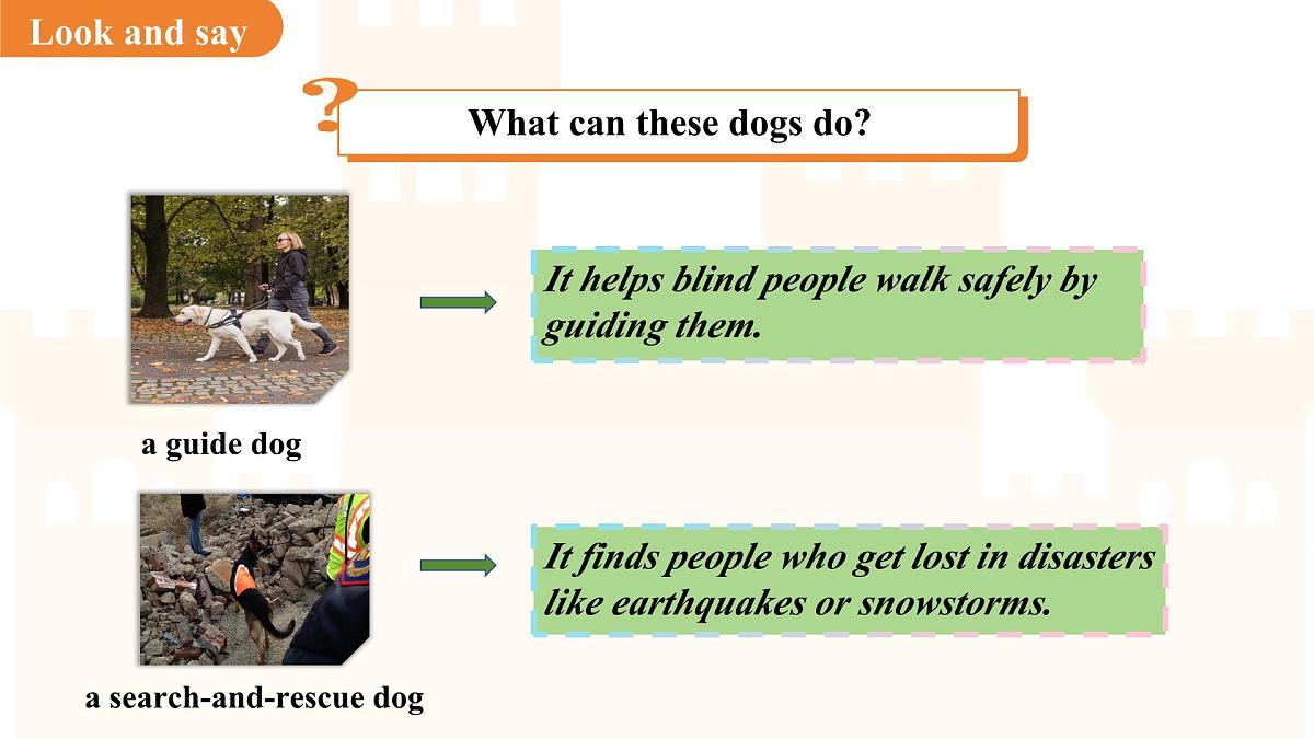 Unit 4  Our animal friends Lesson 2 Listening课件  英语沪教版（2024）七年级下册第5页