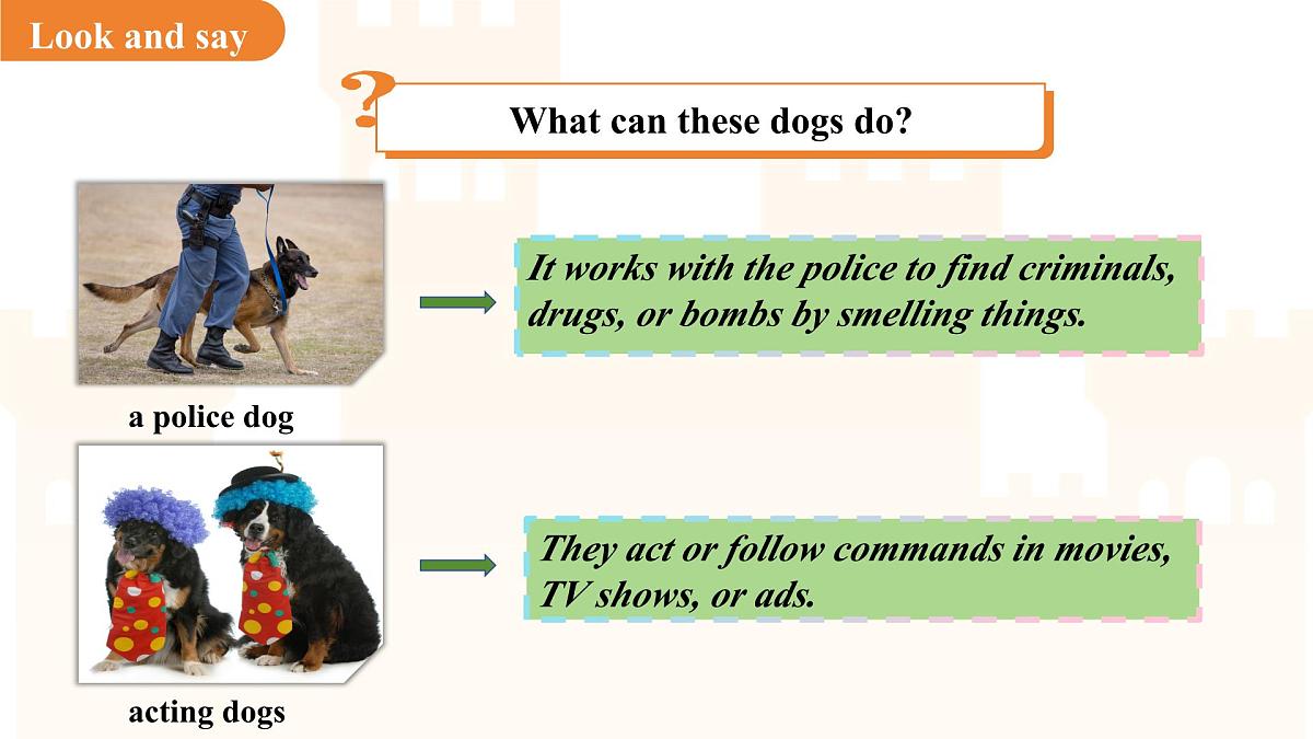 Unit 4  Our animal friends Lesson 2 Listening课件  英语沪教版（2024）七年级下册第6页