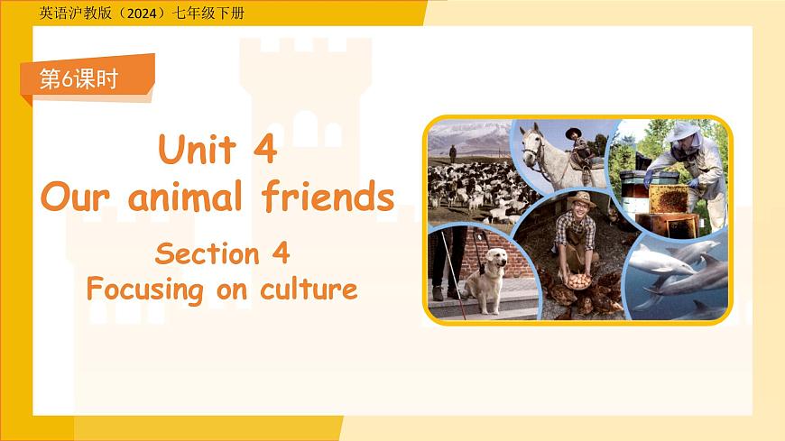 Unit 4Our animal friends  Section 4课件  英语沪教版（2024）七年级下册第1页