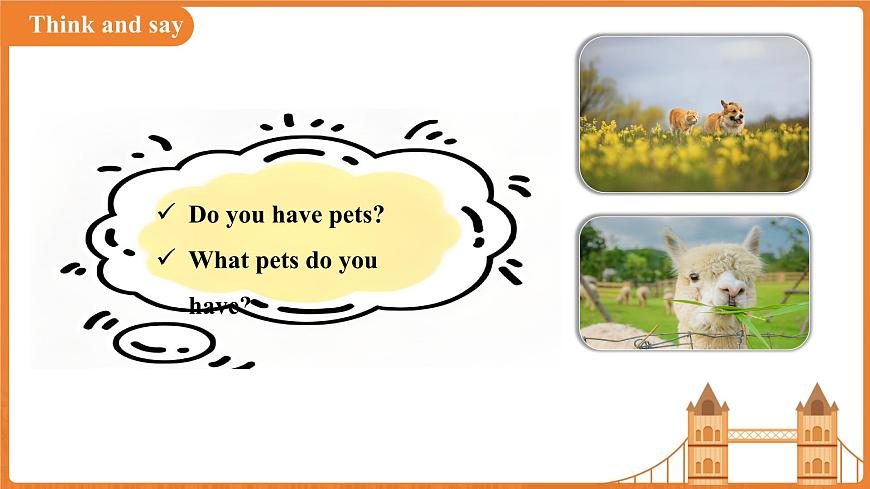 Unit 4Our animal friends  Section 4课件  英语沪教版（2024）七年级下册第3页