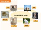 Unit 4Our animal friends  Section 4課件  英語滬教版（2024）七年級下冊