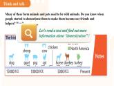 Unit 4Our animal friends  Section 4課件  英語滬教版（2024）七年級下冊