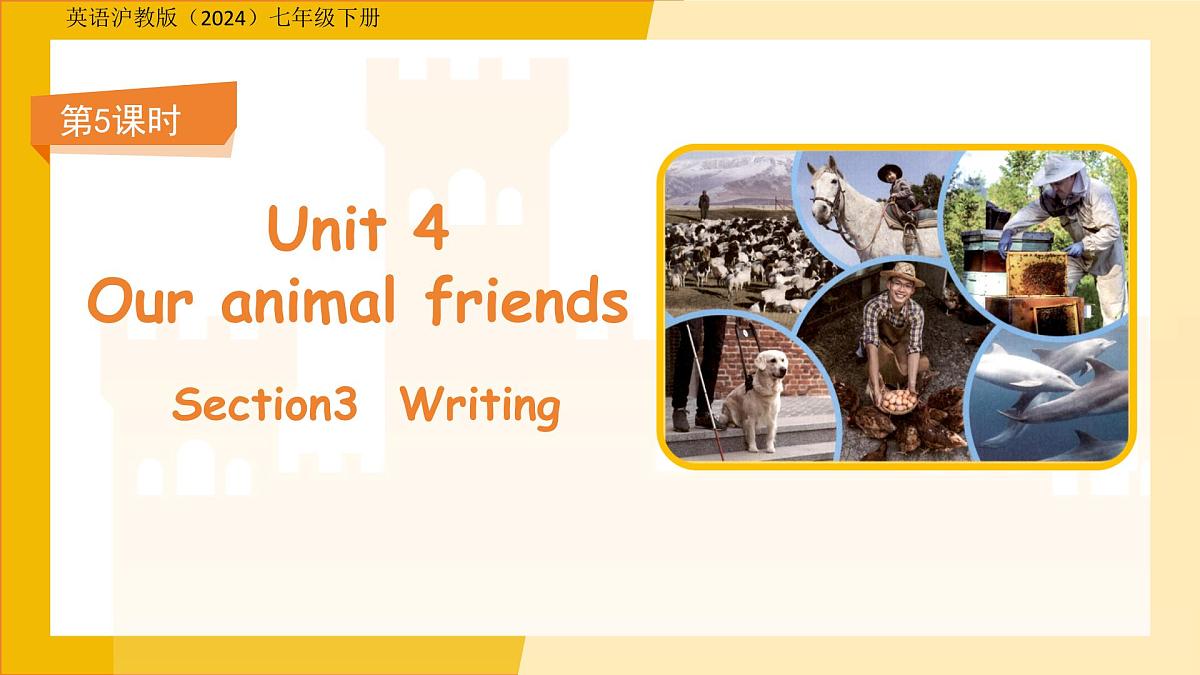 Unit 4 Our animal friends  Section3 Writing课件 英语沪教版（2024）七年级下册第1页