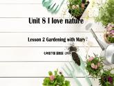 Unit 8 Lesson2 Gardening with Mary（同步課件)-2024-2025學(xué)年七年級(jí)英語(yǔ)下冊(cè)（冀教版2024）