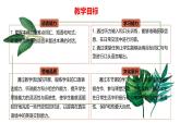 Unit 8 Lesson2 Gardening with Mary（同步課件)-2024-2025學(xué)年七年級(jí)英語(yǔ)下冊(cè)（冀教版2024）