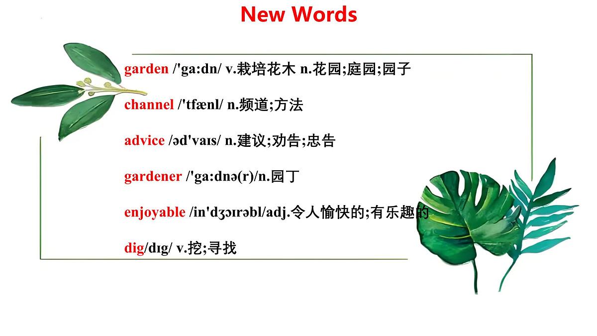 Unit 8 Lesson2 Gardening with Mary（同步课件)-2024-2025学年七年级英语下册（冀教版2024）第6页