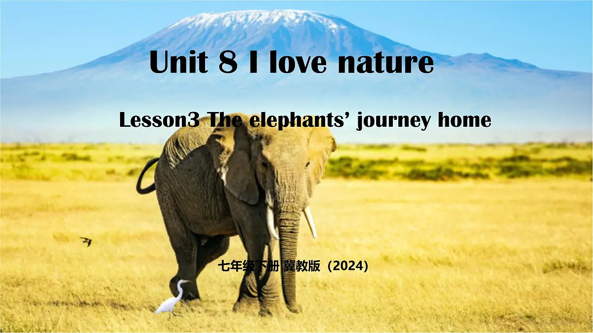 Unit 8 Lesson3 The elephants' journey home（同步课件)-2024-2025学年七年级英语下册（冀教版2024）第1页