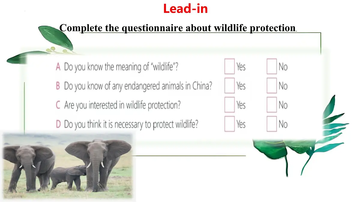 Unit 8 Lesson3 The elephants' journey home（同步课件)-2024-2025学年七年级英语下册（冀教版2024）第4页