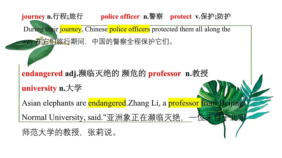 Unit 8 Lesson3 The elephants' journey home（同步课件)-2024-2025学年七年级英语下册（冀教版2024）第8页