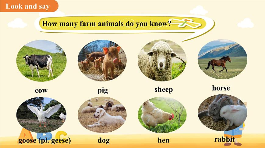 Unit 4 Our animal friends Section3 Speaking 课件 英语沪教版（2024）七年级下册第5页