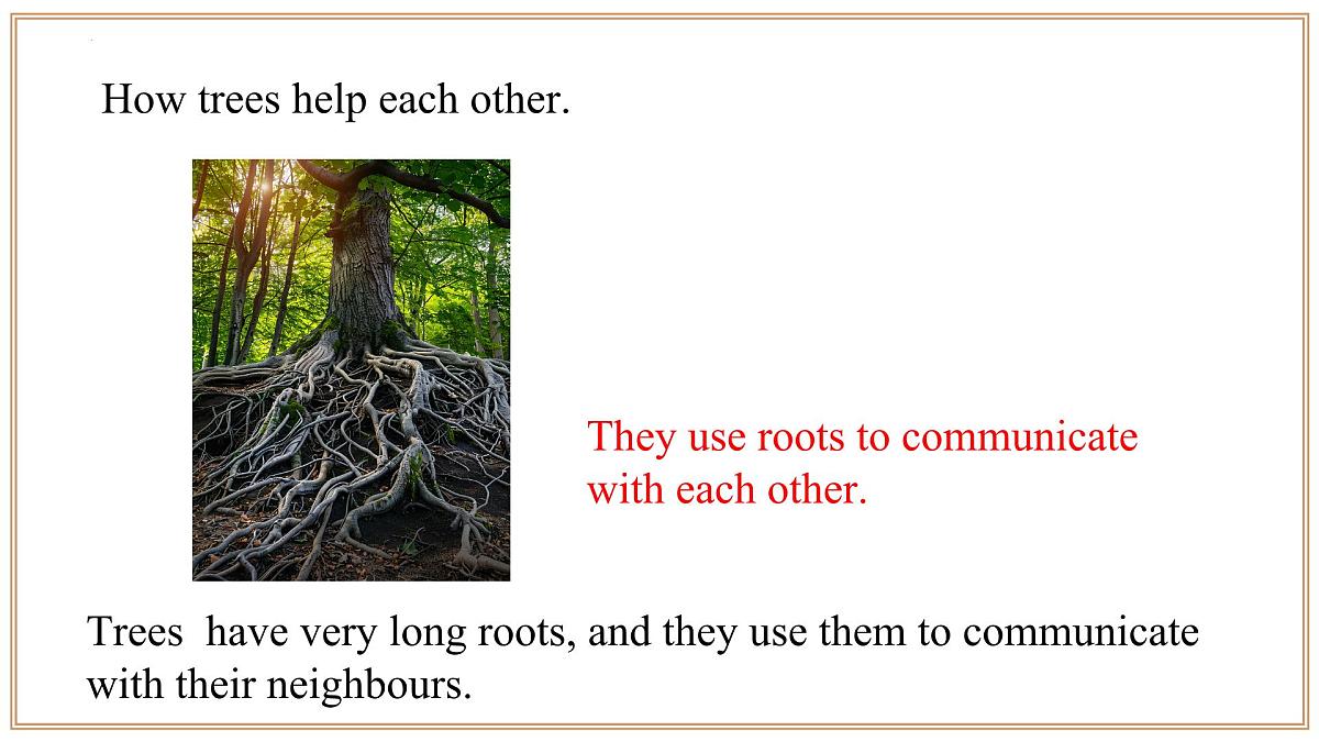 Unit 3 第2课时 Section 1 Listening and Speaking 2025学年七年级英语下册（沪教版2024）课件第8页