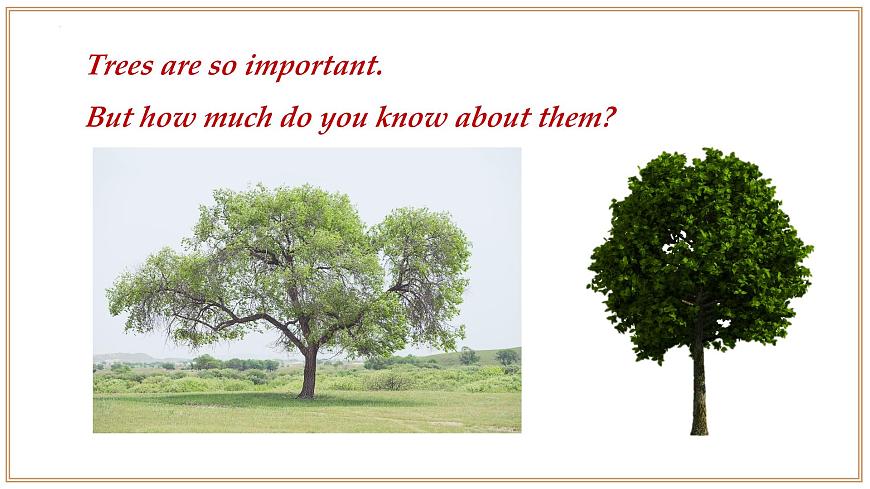 Unit 3 第1课时 Section 1 Reading 2025学年七年级英语下册（沪教版2024）课件第5页