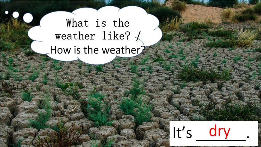 初中英语新人教版七年级下册Unit 6第5课时（Section B 2a-2b）教学课件2025春第7页