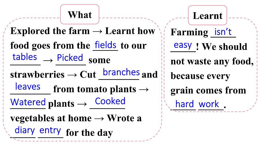 初中英语新人教版七年级下册Unit 7第5课时（Section B 2a-2b）教学课件2025春第3页