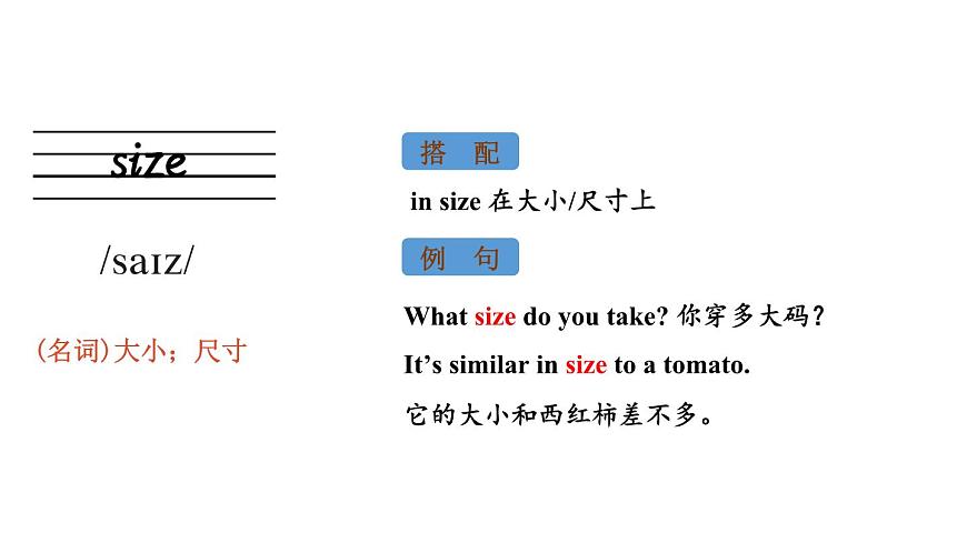 初中英语新人教版七年级下册Unit 8 Section B词汇详解教学课件2025春第7页