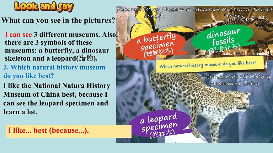 Unit 5 Developing ideas Listening and speaking 课件2024-2025学年外研版英语七年级下册第3页