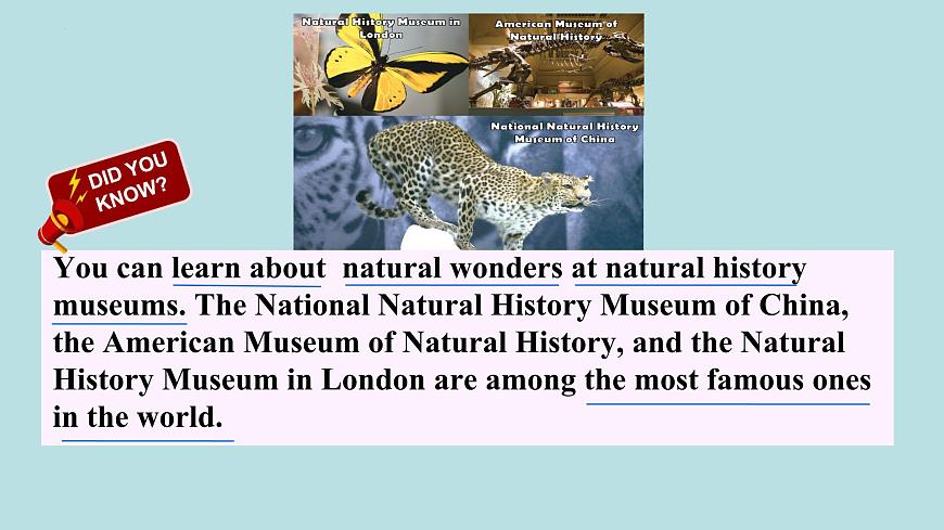 Unit 5 Developing ideas Listening and speaking 课件2024-2025学年外研版英语七年级下册第4页