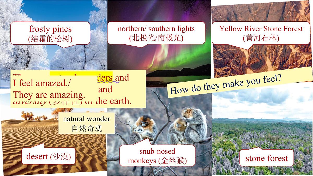 Unit 5 Period 1 Starting out&Reading 课件 2025学年外研版七年级英语下册第4页