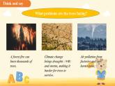 Unit 3 Trees and us第4課時(shí) Speaking課件 英語(yǔ)滬教版（2024）七年級(jí)下冊(cè)